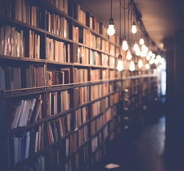 Les Compétences Indispensables d'un Expert Informatique