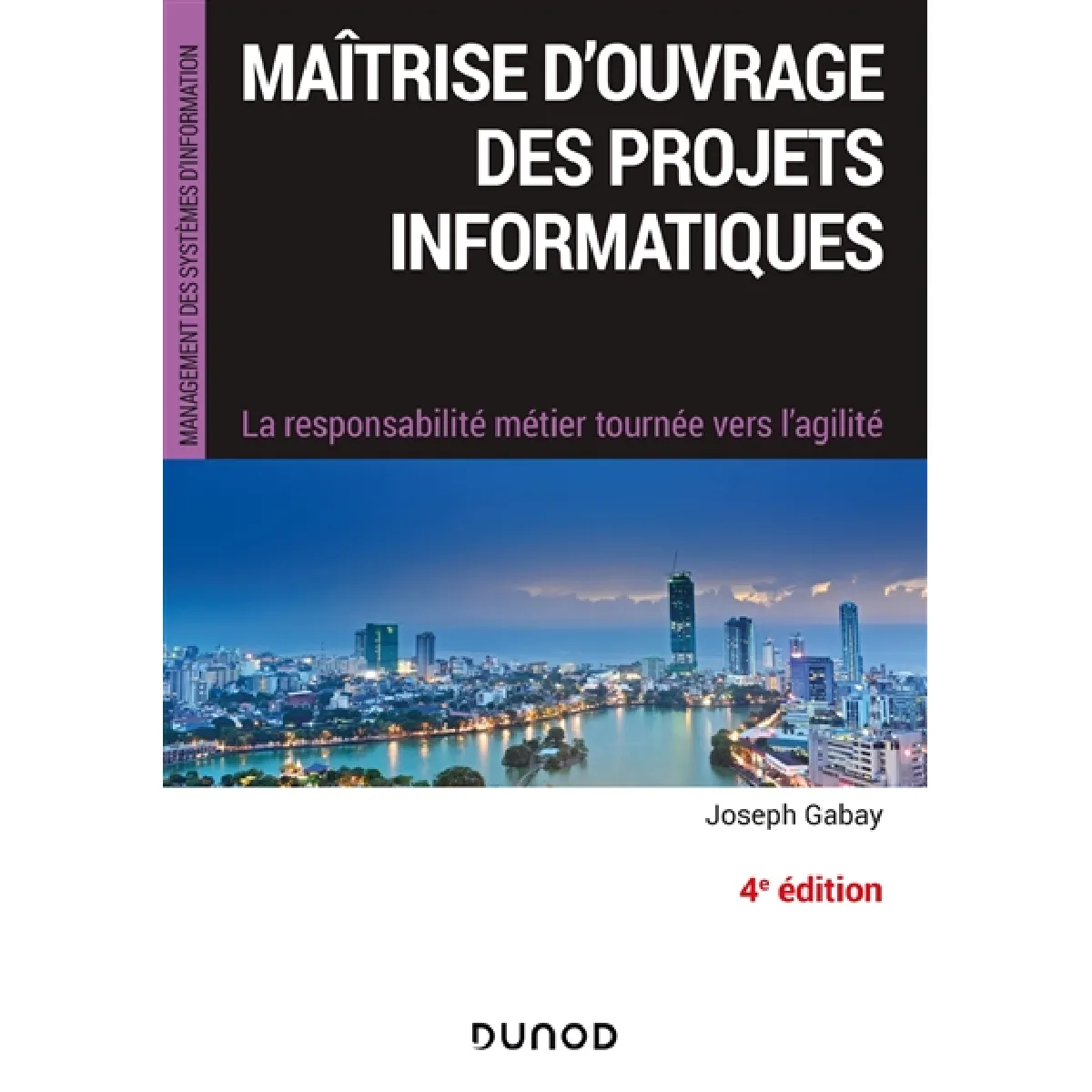 Maîtrise d'ouvrage des projets informatiques : la responsabilité métier tournée vers l'agilité