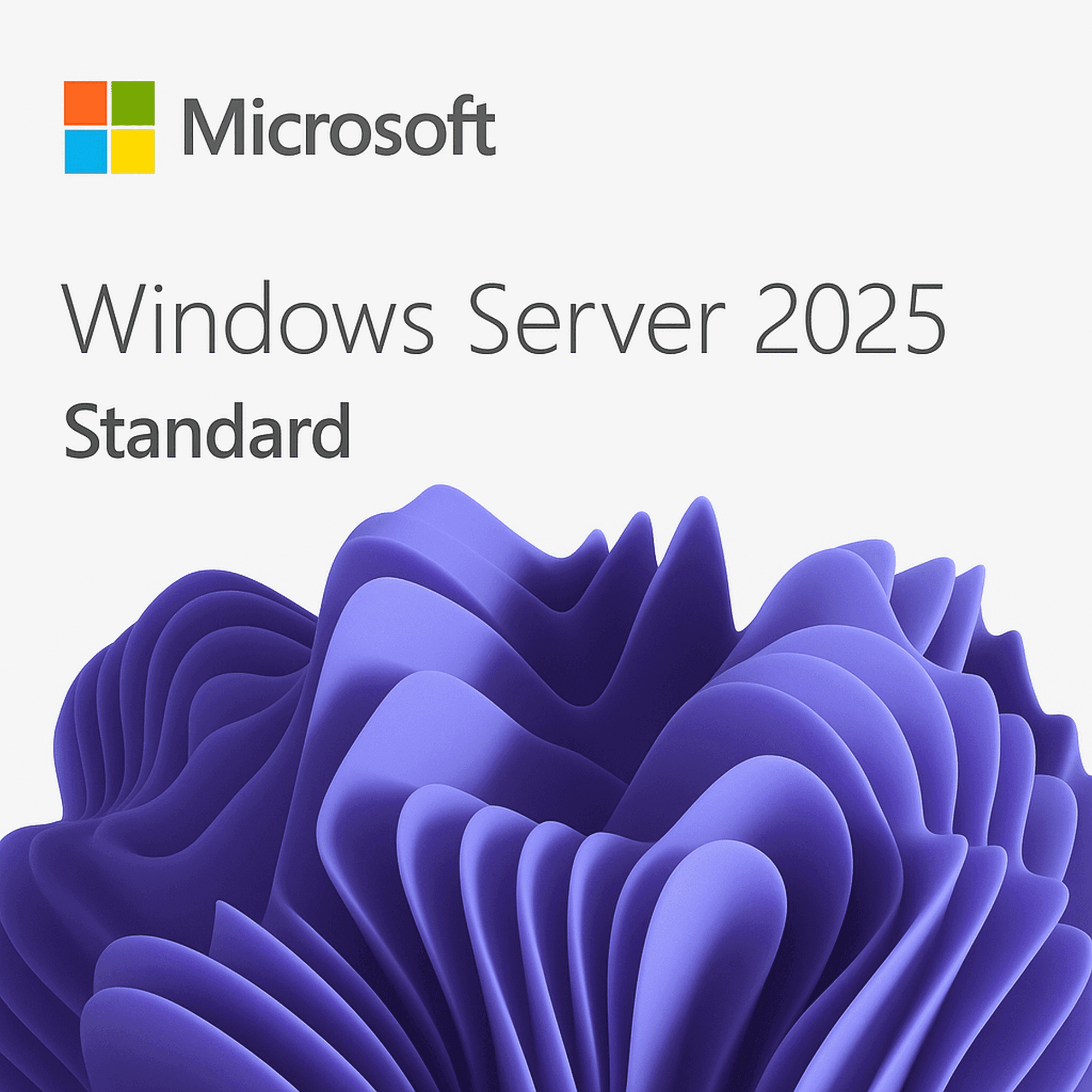 Microsoft Windows Server 2025 Standard | 1 Serveur | 2 VMs | 24 cœurs | Version définitive | Téléchargement