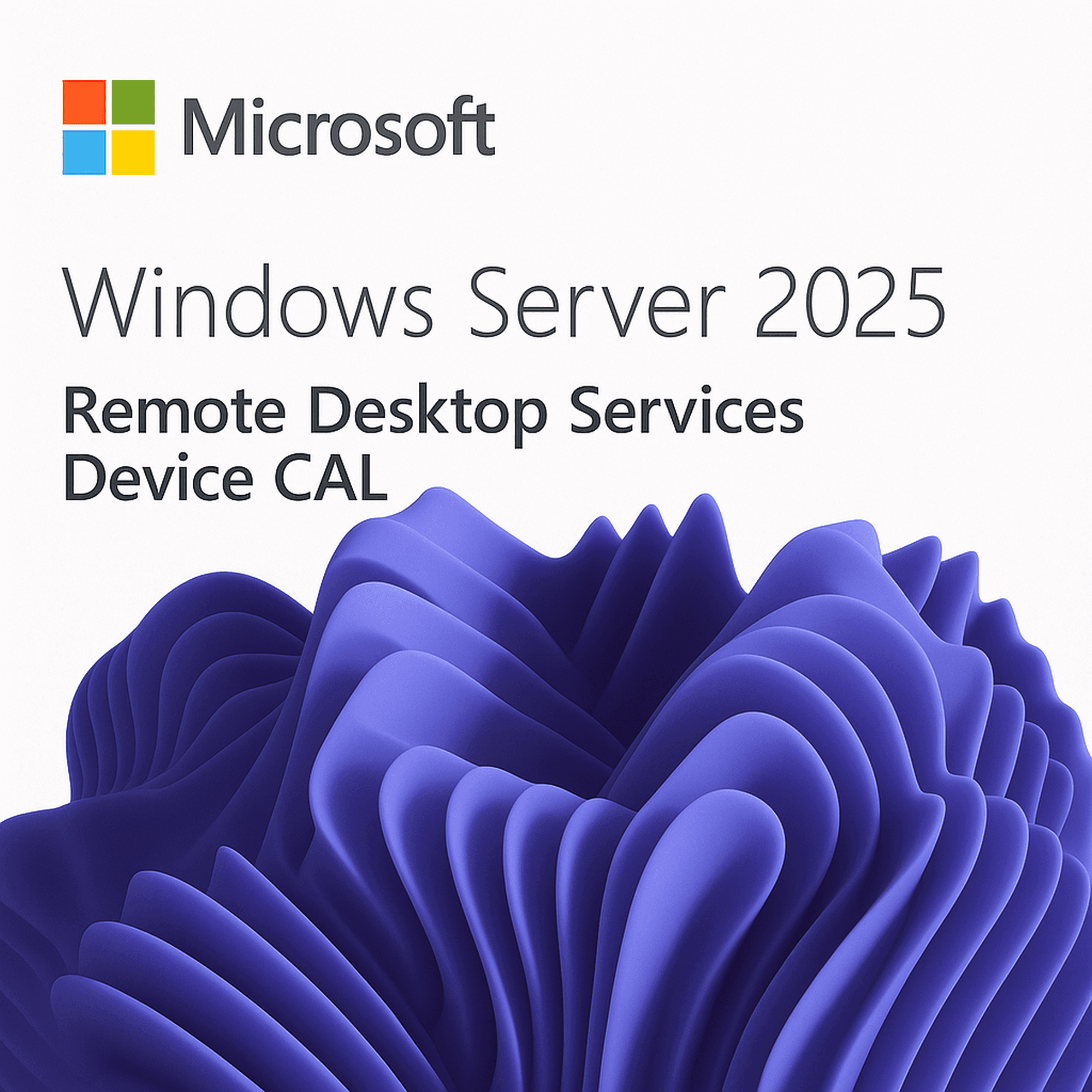 Microsoft Windows Server 2025 RDS Périphérique/Device CAL | 10 Périphériques | Version définitive | Téléchargement